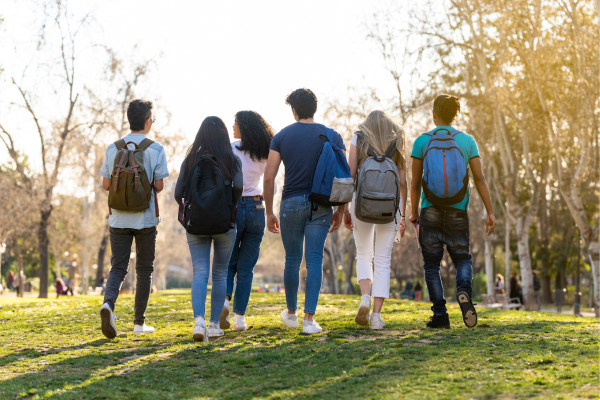 decorative image of young adults walking in a field